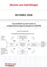 ISO 45001 template